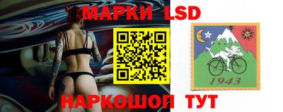 стаф Кандалакша