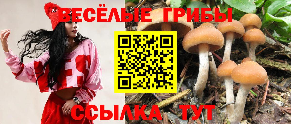 Галлюциногенные грибы Psilocybe  Вход с VPN  продажа наркотиков  Юрга  Галлюциногенные грибы MAGIC MUSHROOMS 
