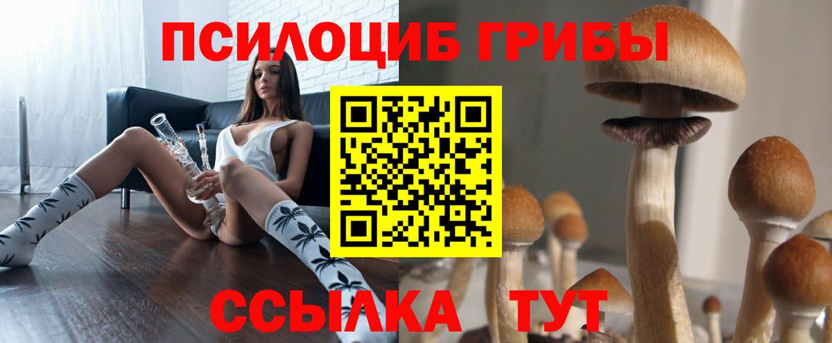 Галлюциногенные грибы мицелий Юрга